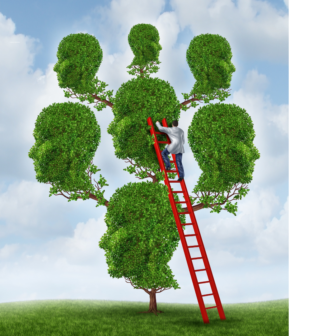 Understanding Internal Family Systems (IFS) Therapy: A Guide for Beginners